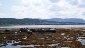 laag water in Bonne Bay | Rocky Harbour